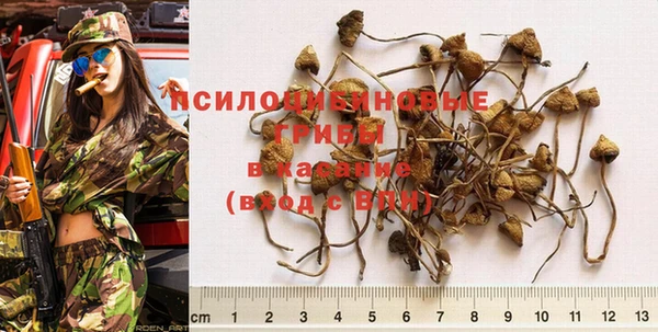 винт Алексин