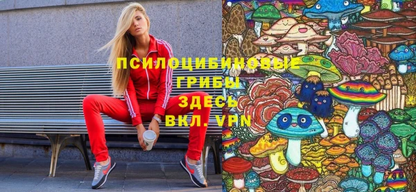 ПСИЛОЦИБИНОВЫЕ ГРИБЫ Аркадак