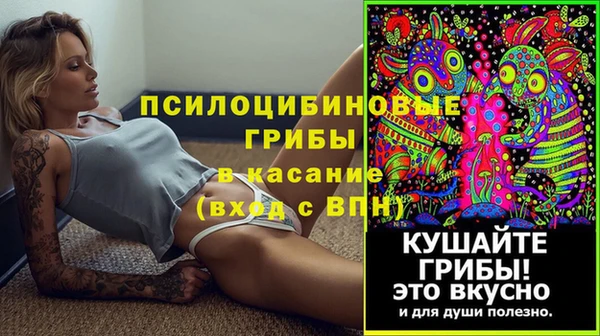 МДПВ Арсеньев
