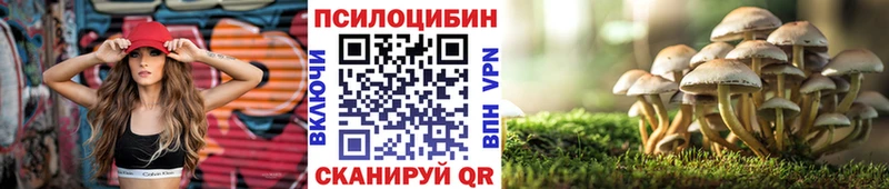 blacksprut вход  где купить наркотик  Артёмовский  Псилоцибиновые грибы Psilocybe 